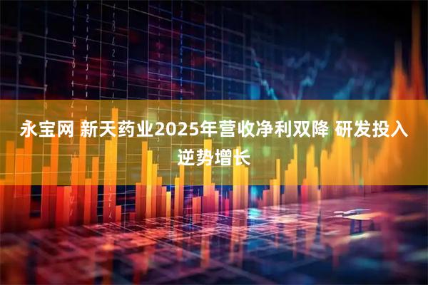 永宝网 新天药业2025年营收净利双降 研发投入逆势增长